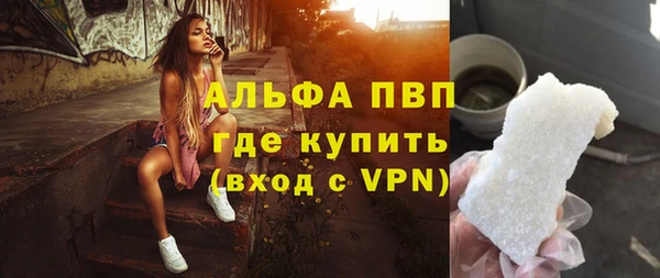 гидра Новозыбков