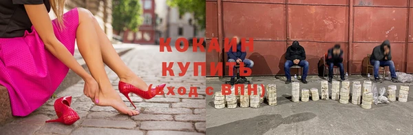 гидра Новозыбков