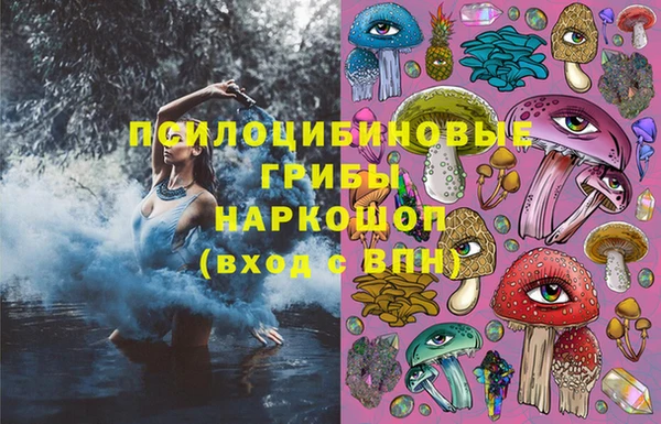 гидра Новозыбков