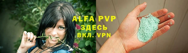 гидра Новозыбков