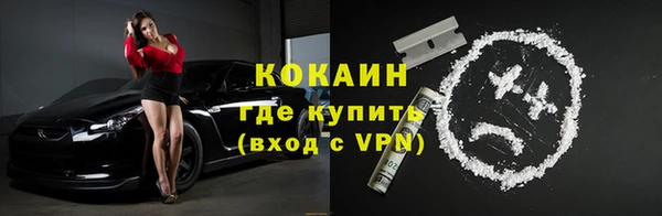 гидра Новозыбков