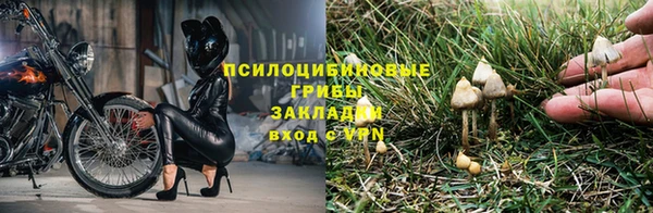 Альфа ПВП Новокубанск