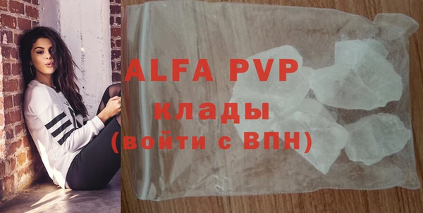 гидра Новозыбков